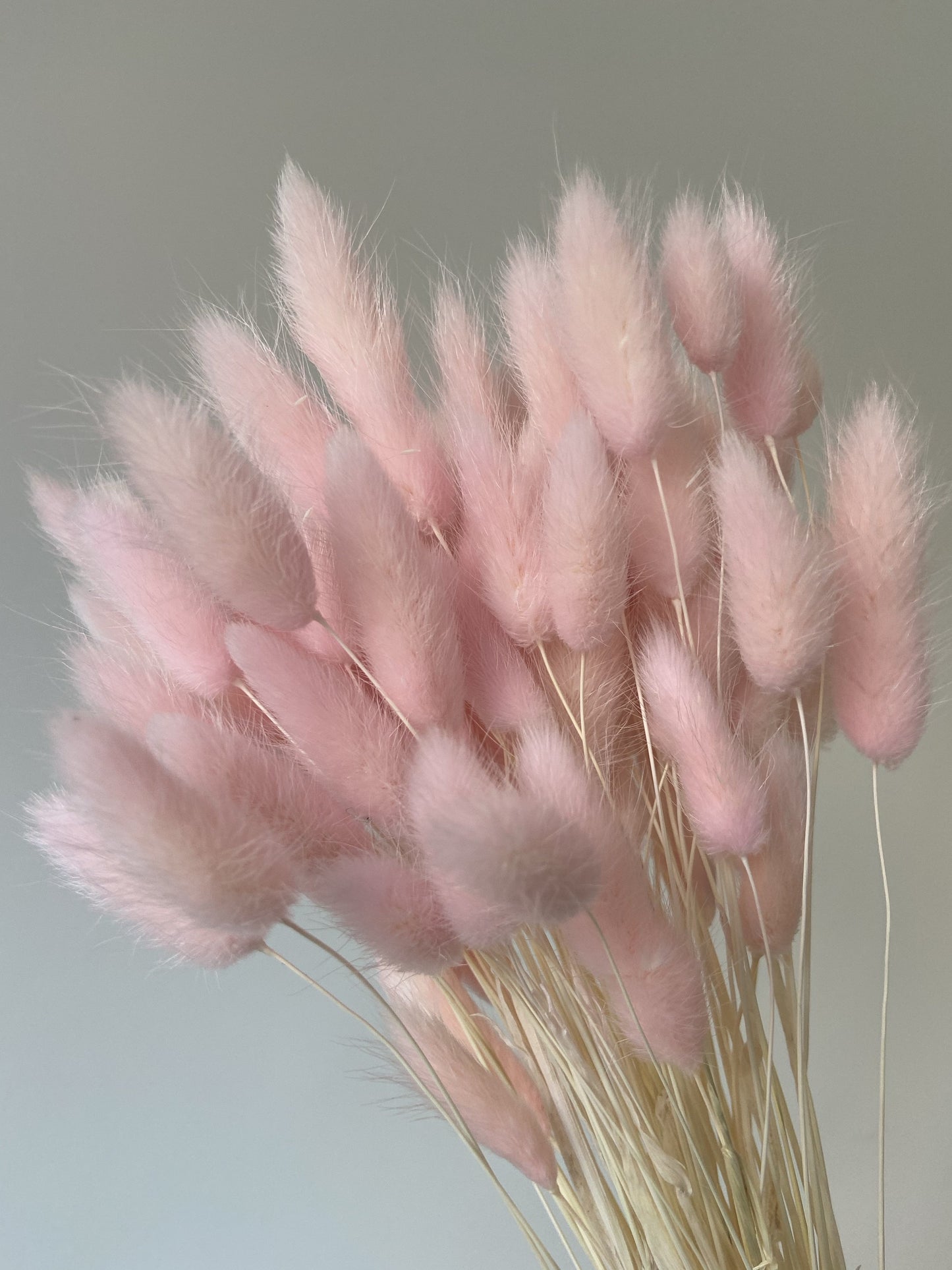Light Pink Bunny Tails