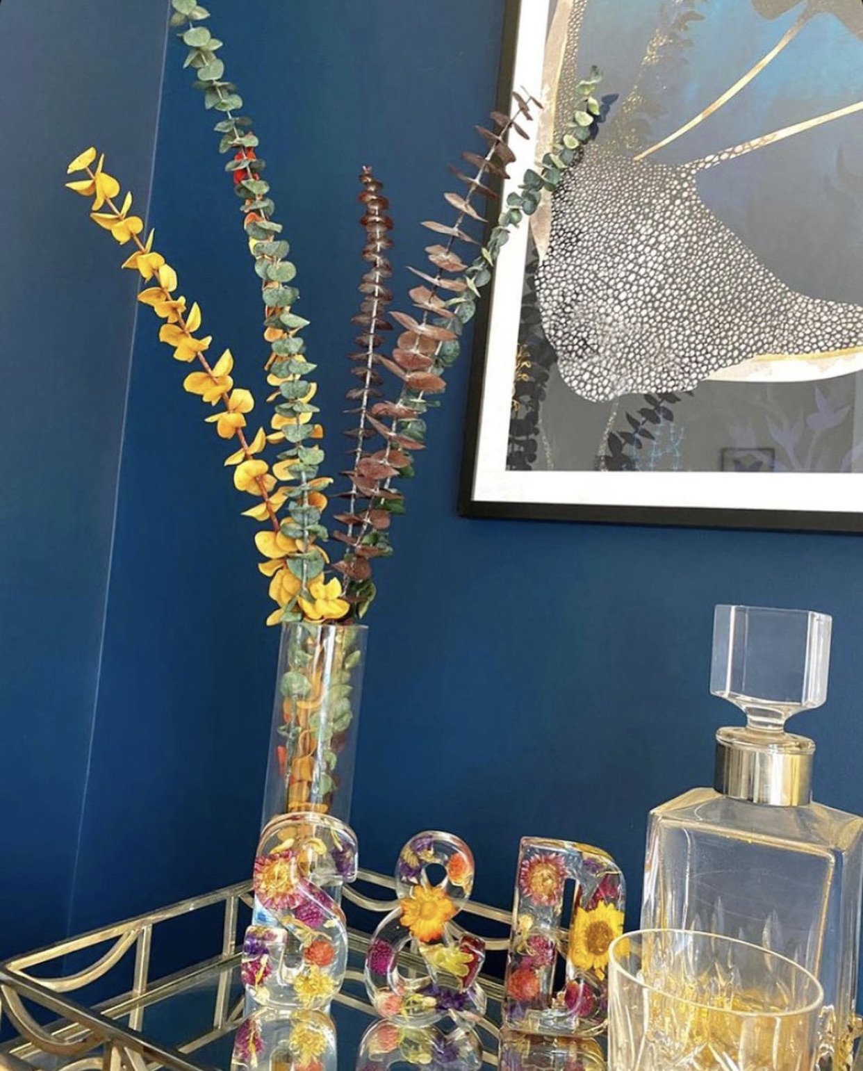 Eucalyptus Stems