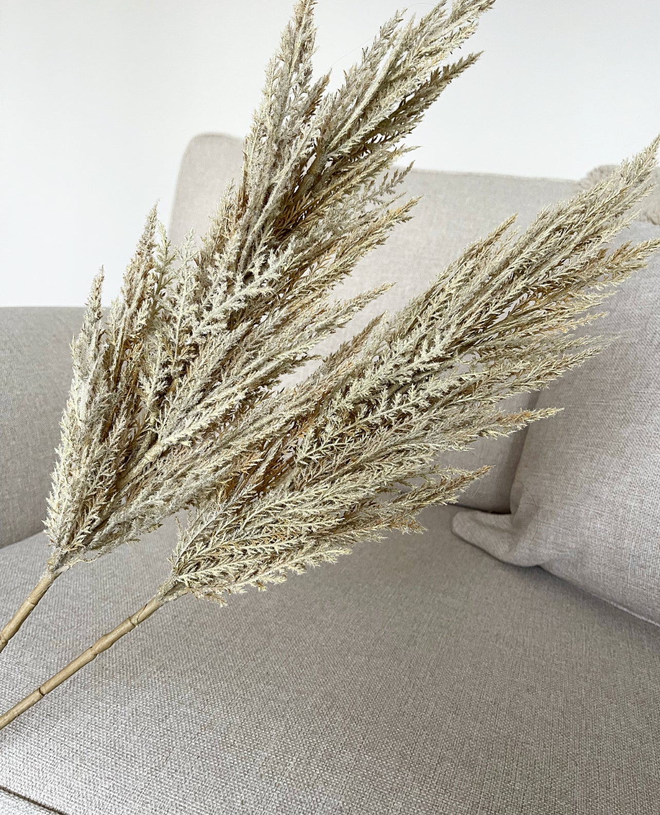 Faux Pampas Grass Stem