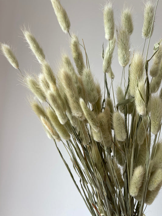 Sage Green Bunny Tails