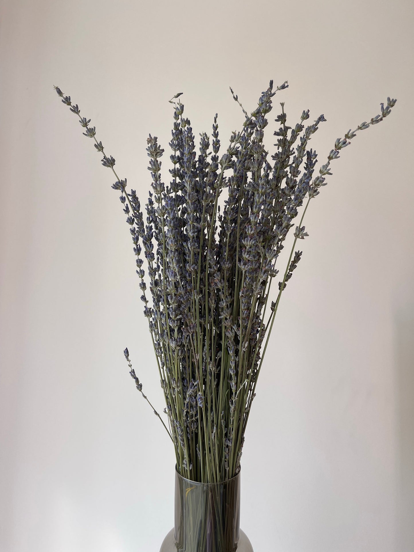 Dried Lavender Bundle