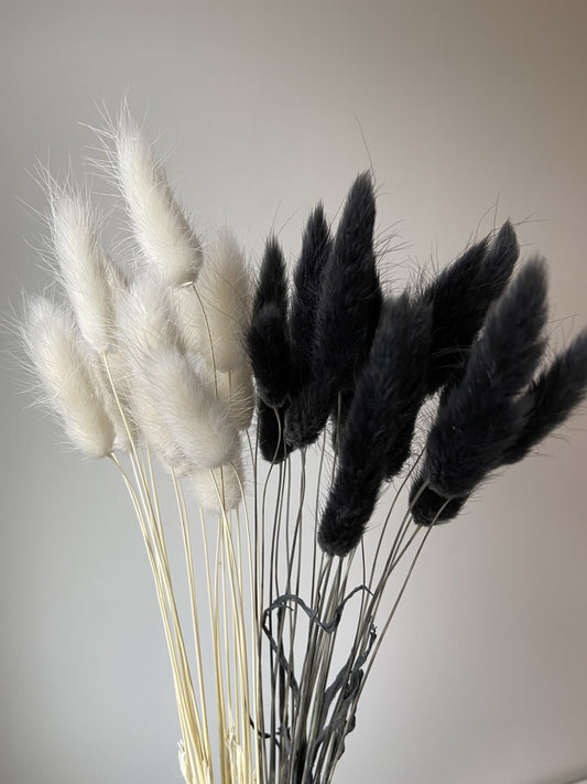 White & Black Bunny Tails