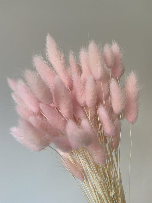 Light Pink Bunny Tails