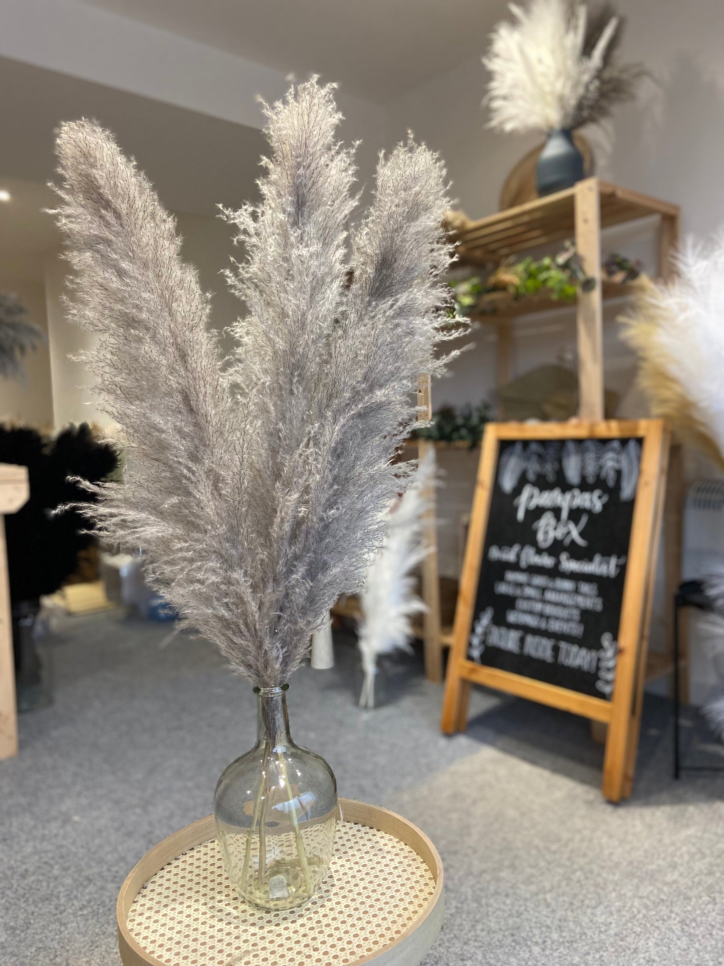 Large grey fluffy pampas. Style in a large floor vase or on a console table as a statement piece.