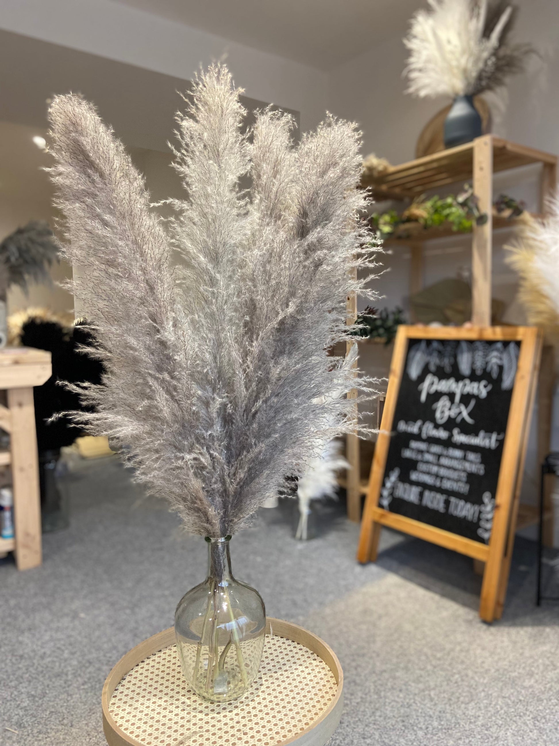 Large white fluffy pampas. Style in a large floor vase or on a console table as a statement piece.