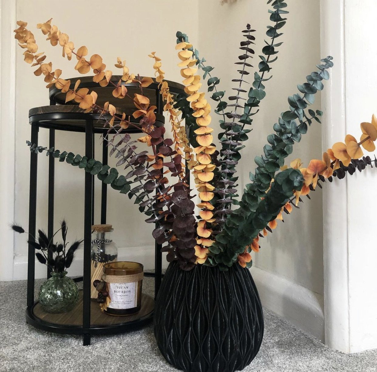Eucalyptus Stems
